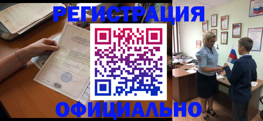 временная регистрация в квартире в Пионерском